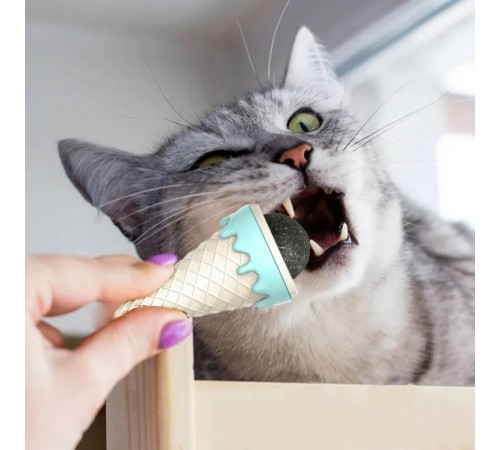 Dondurma Şeklinde Kedi Nanesi Kedi Otu