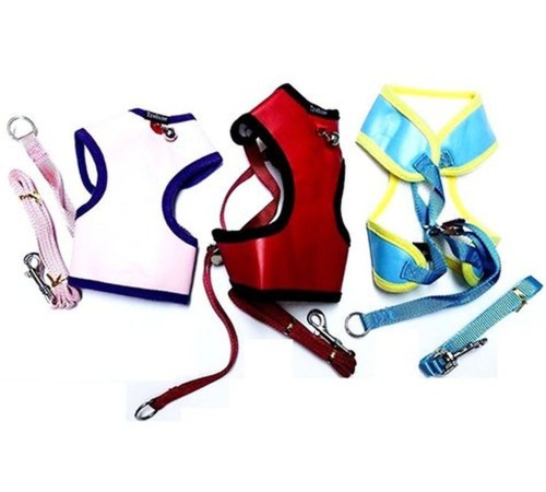 Zilli Yavru Köpek Göğüs Tasması ve Gezdirme Kayışı