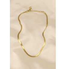 316L Çelik Altın Renk 45 cm İtalyan Zincir Model Kadın Kolye - TJ-BKO5902