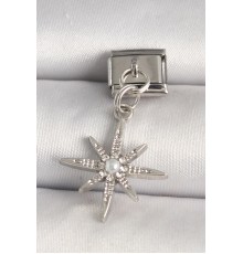 316L Çelik Gümüş Renk Zirkon Taşlı İnci Detay Yıldız Model Nomination Charm - TJ-BC1281