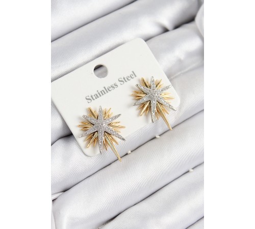 316L Çelik Zirkon Taşlı Kutup Yıldızı Model Gold Ve Gümüş Renk Kadın Küpe - TJ-BKP10928