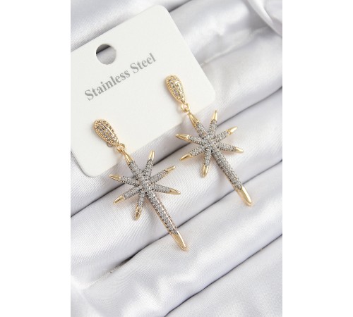 316L Çelik Zirkon Taşlı Pusula Yıldızı Model Gold Ve Gümüş Renk Kadın Küpe - TJ-BKP10934