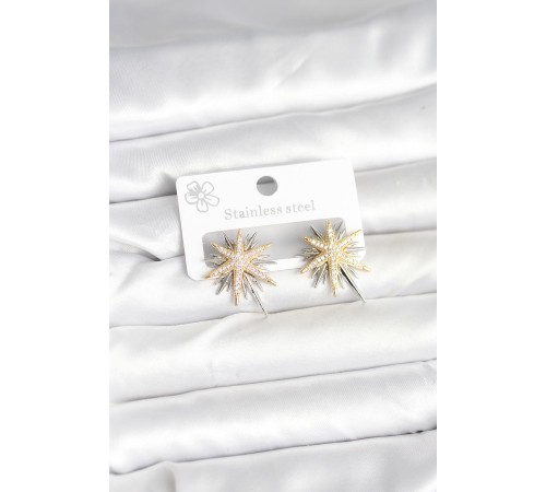 Pirinç Gümüş Renk Kutup Yıldızı Kadın Küpe - TJ-BKP11392