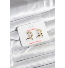 14K Gold Renk Kaplama CM Kadın Küpe - TJ-BKP11401