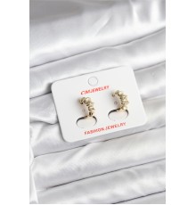 14K Gold Renk Kaplama CM Kadın Küpe - TJ-BKP11403