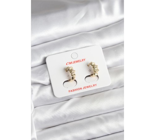 14K Gold Renk Kaplama CM Kadın Küpe - TJ-BKP11403