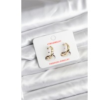 14K Gold Renk Kaplama CM Kadın Küpe - TJ-BKP11404