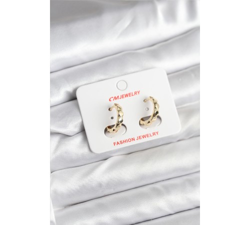 14K Gold Renk Kaplama CM Kadın Küpe - TJ-BKP11404