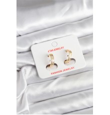 14K Gold Renk Kaplama CM Kadın Küpe - TJ-BKP11405