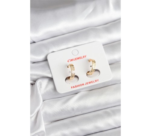 14K Gold Renk Kaplama CM Kadın Küpe - TJ-BKP11405