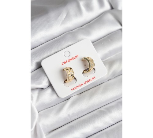 14K Gold Renk Kaplama CM Kadın Küpe - TJ-BKP11414