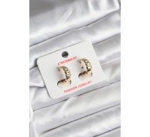 14K Gold Renk Kaplama CM Kadın Küpe - TJ-BKP11422