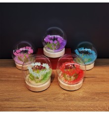 Led Işıklı Lale Cam Fanus 1 Adet