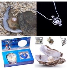 İstiridye İçinde İnci Kolye Seti