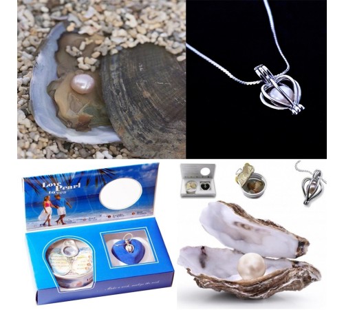 İstiridye İçinde İnci Kolye Seti