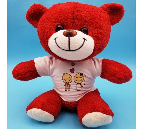 Gelin Damat Çift Baskılı Tişörtü Kırmızı Ayı