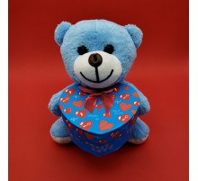 Kalp Kutulu Ayıcık