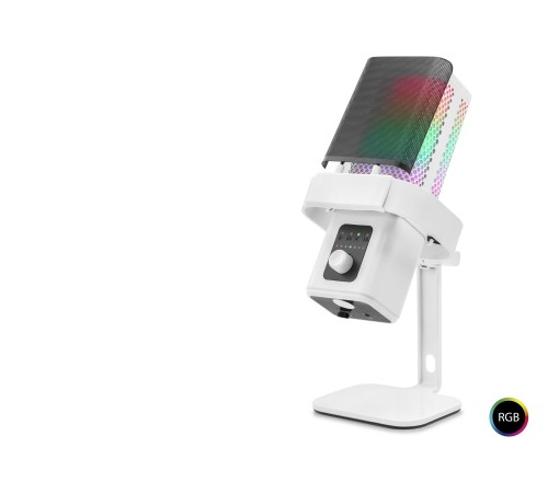 M6W Profesyonel Masaüstü Rgb Mikrofon 192 Khz / 24 Bit Type-C - Beyaz