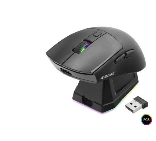 Kablosuz Rgb Mouse Şarj Standlı - Siyah MF1215B