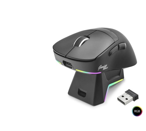 Kablosuz Rgb Mouse Şarj Standlı - Siyah MF1216B