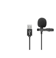 İlgisayar Mikrofonu Usb 1.5M Siyah HD569