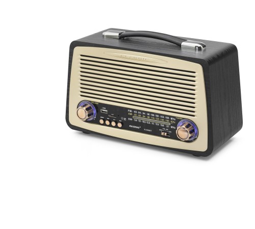 Bluetooth Nostaljik Hoparlör Fm 30.9 X 1 4.5 X 19.5 Cm R3299BT
