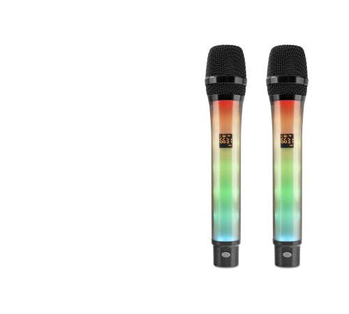Profesyonel Kablosuz Uhf 2 Mikrofonlu Set Rgb - Siyah WX-82