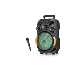 Bluetooth Hoparlör Fm Radyo 8 Inç Usb Tf Aux Rgb Mikrofonlu - Siyah QS4009