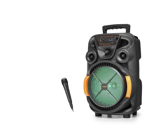 Bluetooth Hoparlör Fm Radyo 8 Inç Usb Tf Aux Rgb Mikrofonlu - Siyah QS4009