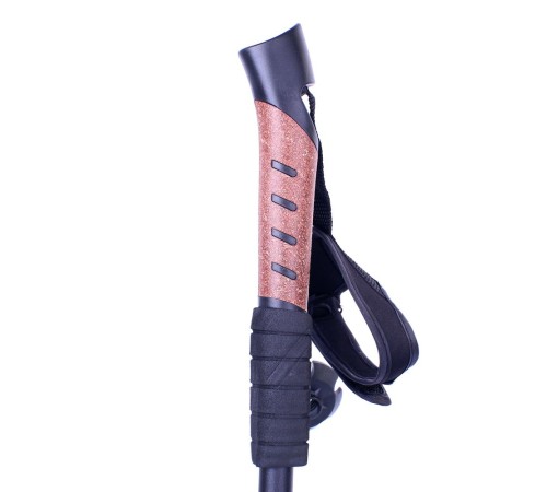 Dağcı Yürüyüş Batonu Wt-080