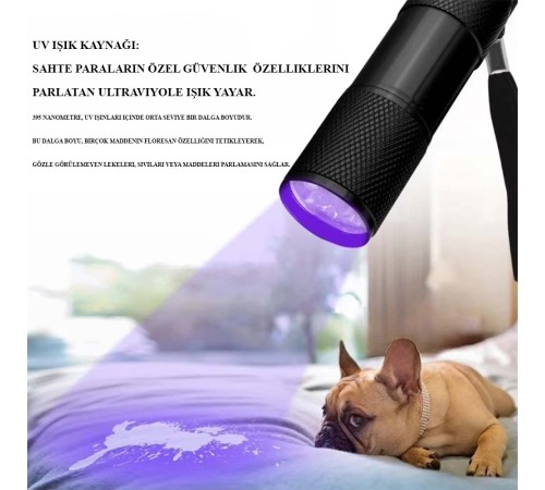 Ultraviole Para Kontrol Işığı Wt-302