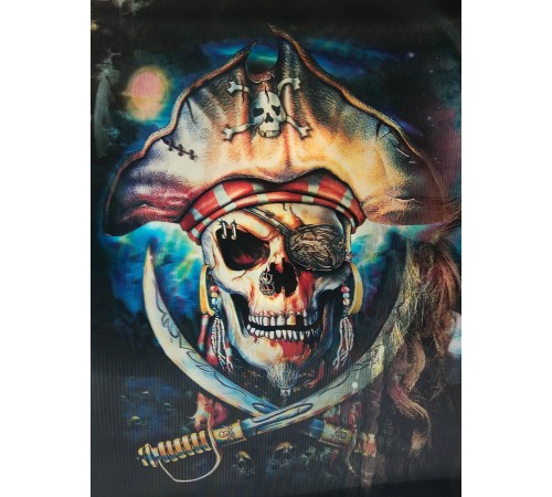 5D Elmas Boyama 3 Farklı Resim Değişenli Korsan Tablosu 30x40 cm