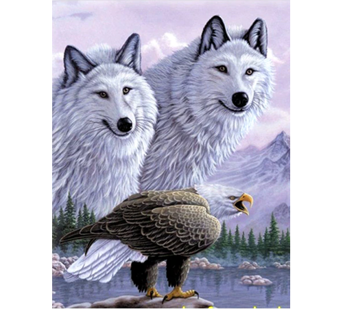 5D Elmas Boyama Kartallı Kurt Resmi Tablosu 40x60 cm