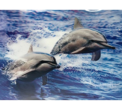 5D Elmas Boyama Sevimli Yunuslar İkili Yunus Resmi Tablosu 30x40 cm