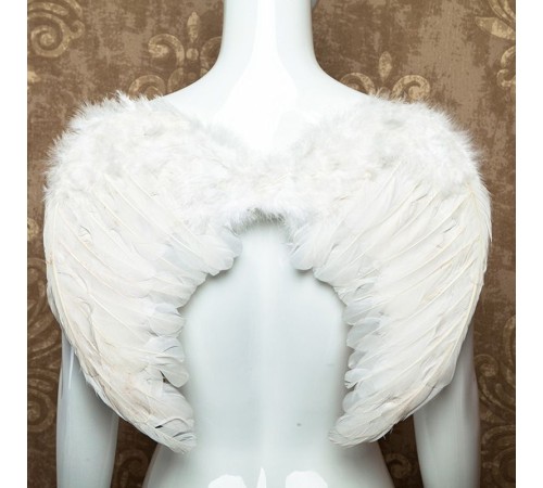 Beyaz Renkli Bebek Boy Melek Kanadı 25x45 cm