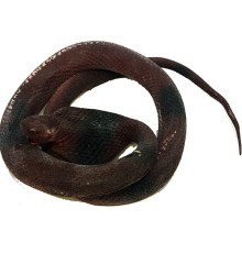 Kahve Renk Yassı Kafa Yumuşak Gerçekçi Kobra Yılan 95 cm