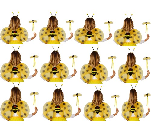 Okul Gösterileri için 12 li Arı Kanadı Seti - Etkinlik Kanatları