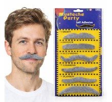 6 lı Yapışkanlı Gri Parti Bıyık Seti – Farklı Modeller