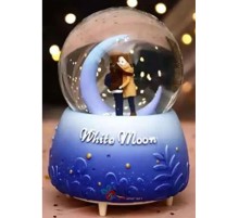 Kar Küresi Orta Boy WY20K08