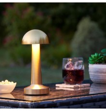 Dekoratif Led Masa Lambası MZ-327