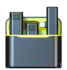 ZR569 V8 Type-C İkili Mikrofon