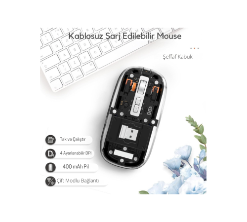 Siyah 501 Bt+ Wireless Mouse ZR1133