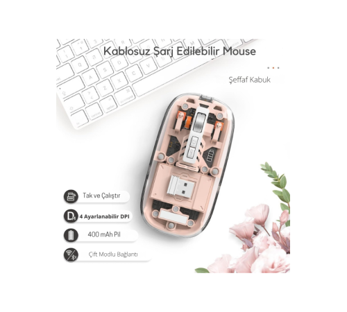 Pembe 501 Bt+ Wireless Mouse ZR1133