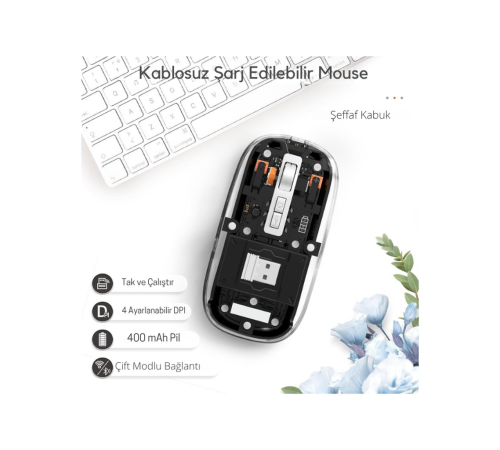 Siyah 501 Bt+ Wireless Mouse ZR1133