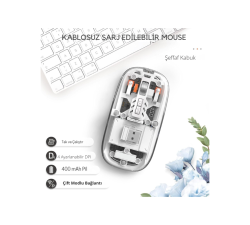 Beyaz 501 Bt+Wireless Mouse ZR1133