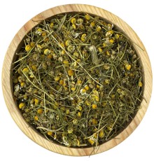 Mayıs Papatyası 1KG