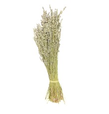 Lavanta 1 KG - 5 Demet