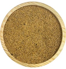 Sarı Hardal Tohumu 1KG