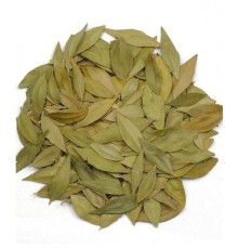 Mersin Yaprağı 1KG