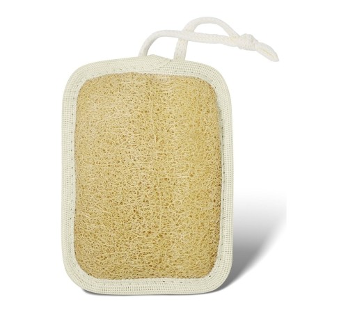 Dikdörtgen Loofah Kabak Lifi 12 Adet